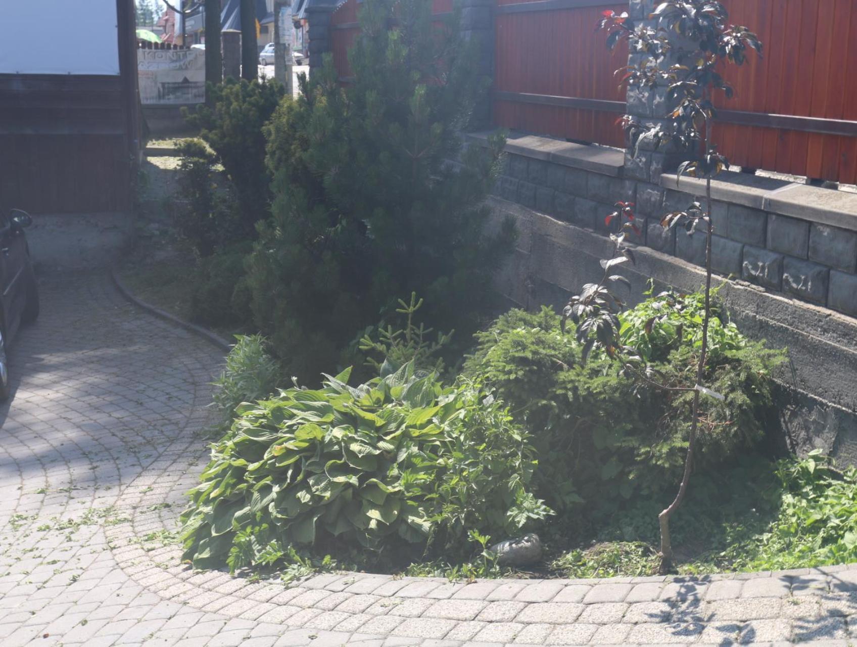 Smyrecek-Centrum Bukowiny Bukowina Tatrzańska Eksteriør billede
