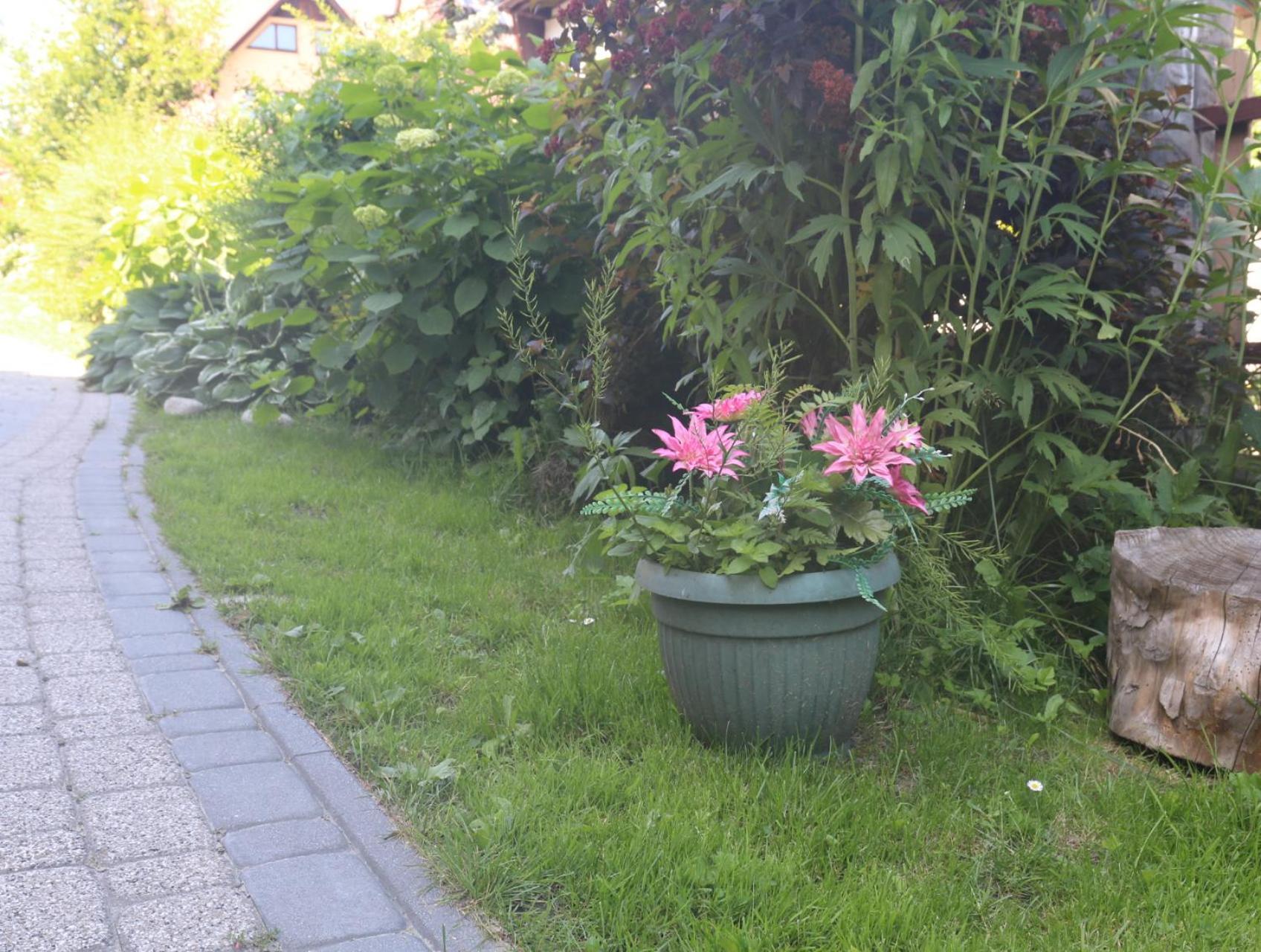 Smyrecek-Centrum Bukowiny Bukowina Tatrzańska Eksteriør billede